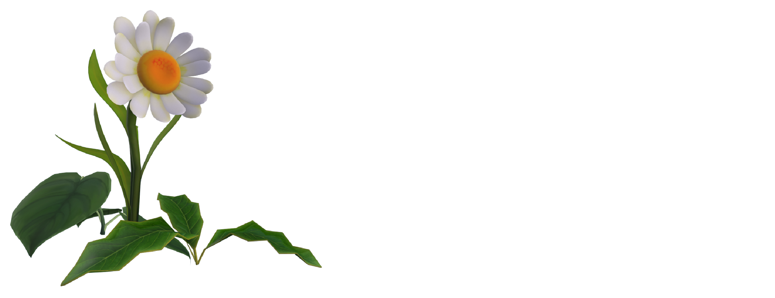 Ecriture "Services" avec une paquerette par dessus